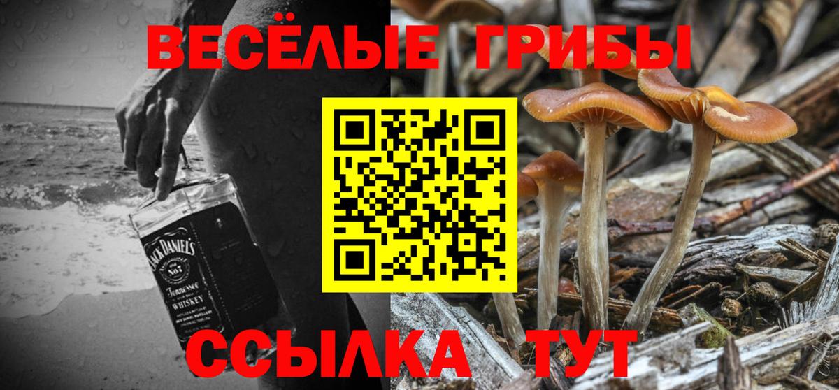 Галлюциногенные грибы Psilocybe  Вход с VPN  Краснодар 